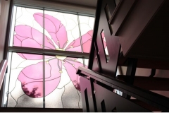 duinroos-resultaat-7-bewerkt